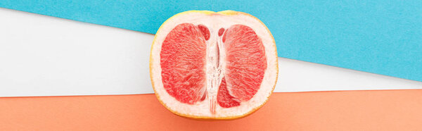 Top view of grapefruit half on blue, orange and white background, panoramic shot