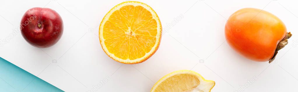Top view of orange and lemon halves with persimmon, apple on white and blue background, panoramic shot