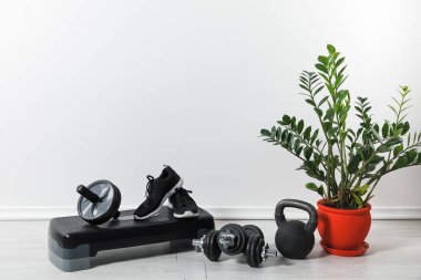 Spor aletleri ve spor ayakkabıları ev bitkisiyle evde