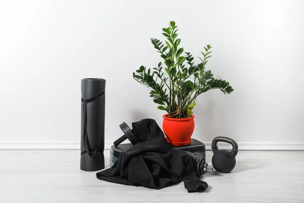 Material Esportivo Tênis Casa Com Planta Sala — Fotografia de Stock