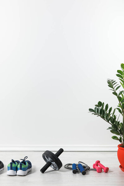 dumbbells, abdominal wheel and sneakers at home with houseplant