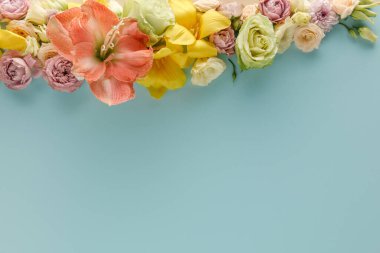 Mavi arkaplanda bahar çiçeklerinin üst görünümü