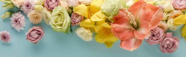 top view of spring flowers on blue background, panoramic shot clipart