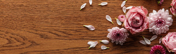 top view of blooming pink spring flowers and petals on wooden background, panoramic shot