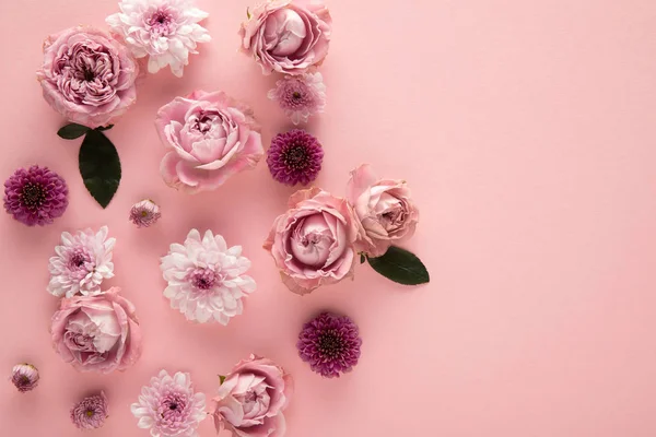 ピンクの背景に咲く春の花のトップビュー — ストック写真