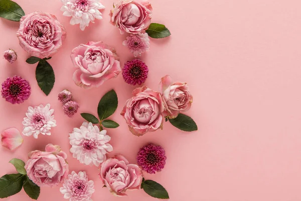 Top View Blooming Spring Flowers Pink Background — Stock Photo, Image