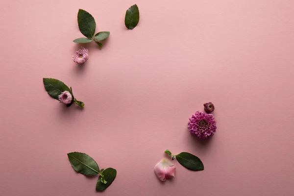 Felső Kilátás Tavaszi Virágok Zöld Levelek Rózsaszín Háttér — Stock Fotó