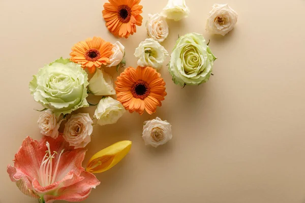 Top View Spring Flowers Scattered Beige Background — Stock Photo, Image