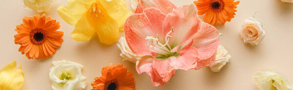 top view of spring flowers on beige background, panoramic shot