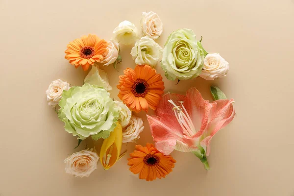 Top View Spring Flowers Beige Background — Stock Photo, Image