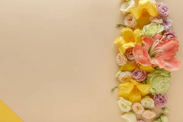 Vista Superior Borda Floral Primavera Fundo Bege Amarelo — Fotografia de Stock