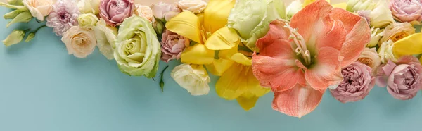 Blick Von Oben Auf Frühlingsblumen Auf Blauem Hintergrund Panoramaaufnahme — Stockfoto