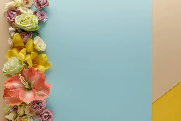 Top View Spring Floral Border Beige Blue Yellow Background — Stock Photo, Image