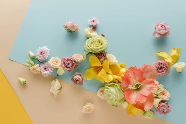 Top View Spring Flowers Beige Blue Yellow Background — Stock Photo, Image