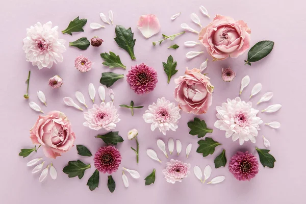 Bovenaanzicht Van Bloeiende Lente Chrysanten Rozen Met Bladeren Bloemblaadjes Violette — Stockfoto