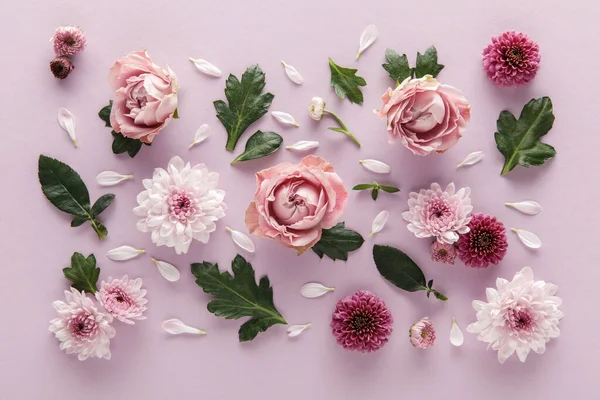 Vista Superior Primavera Florescente Crisântemos Rosas Com Folhas Pétalas Fundo — Fotografia de Stock