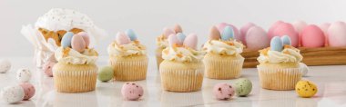 Delicious cupcakes with colorful painted chicken and quail eggs near easter cake on grey background, panoramic shot clipart