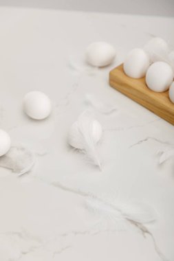 Tahtadaki tavuk yumurtaları ve beyaz arka plandaki tüyler.