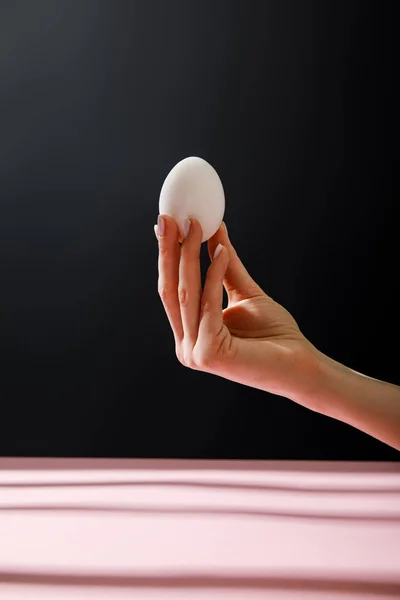 Partial View Woman Holding Chicken Egg Isolated Black Background — Stock Photo, Image