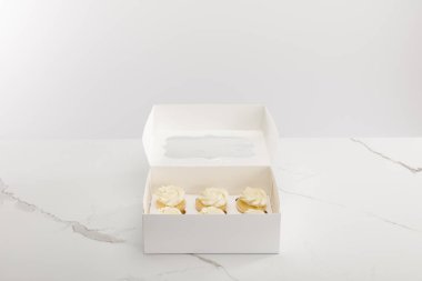 Tasty cupcakes in box isolated on grey clipart