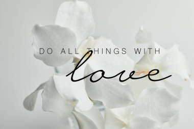 Beyaz üzerine izole edilmiş güzel orkide çiçekleri, aşk illüstrasyonuyla her şeyi yaparlar.