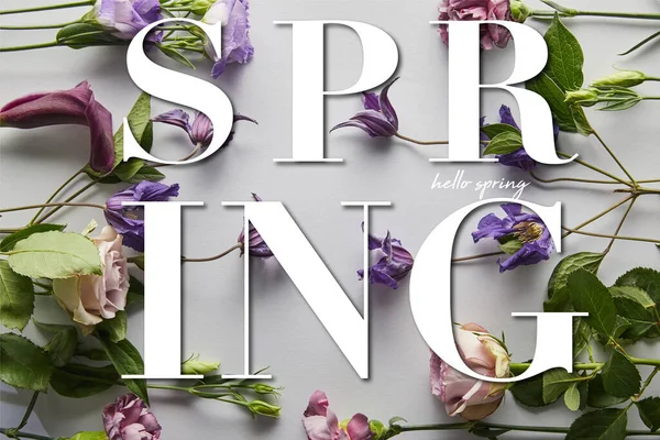 Vista Superior Flores Violetas Sobre Fundo Branco Ilustração Primavera — Fotografia de Stock
