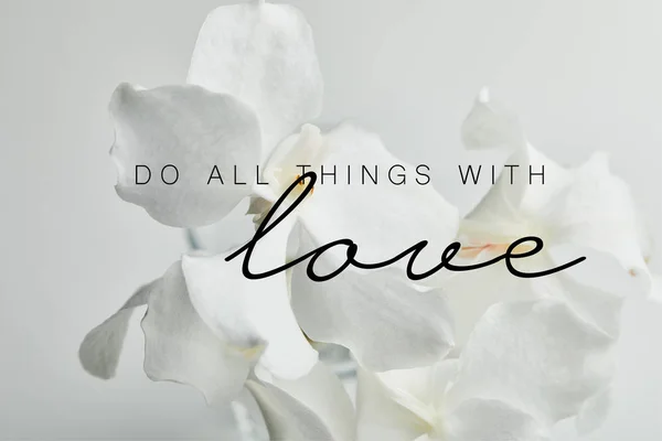 Beautiful Orchid Flowers Isolated White All Things Love Illustration — Stock Photo, Image