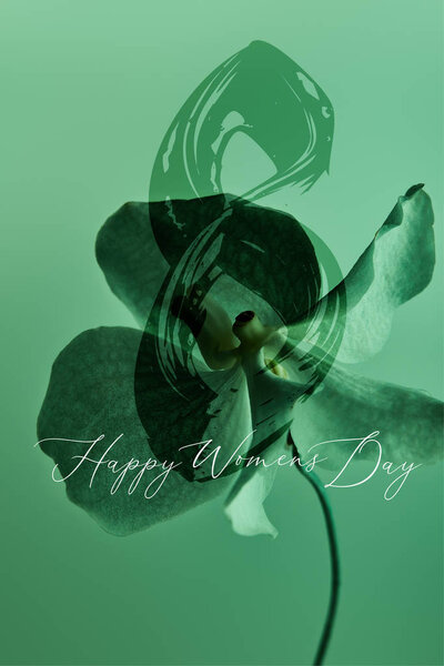 colorful green orchid flower isolated on green, happy womens day illustration
