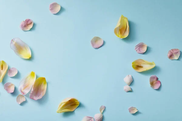 Top View Scattered Floral Petals Blue Background — Stock Photo, Image