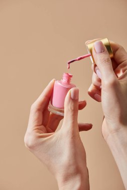 Cropped view of woman holding opened bottle of pink nail polish isolated on beige clipart