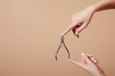 Cropped view of woman holding cuticle nipper isolated on beige clipart