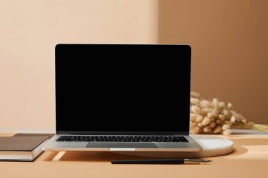 Lagurus dikenleri, not defteri ve bej arkaplanda boya fırçası olan boş ekranlı bir laptop.