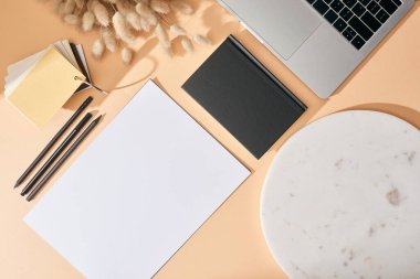 Kağıt, kalem, lagurus dikenleri, defter, mermer tahta, renk örnekleri ve bej arkaplanda dizüstü bilgisayarın üst görünümü