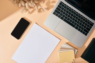 Kağıt, akıllı telefon, defter, renk örnekleri, lagurus dikenleri ve bej arkaplanda dizüstü bilgisayarın üst görünümü