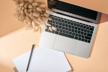 Dizüstü bilgisayarın üst görüntüsü, lagurus dikenleri, bej arka planda kağıt ve kalem sayfaları