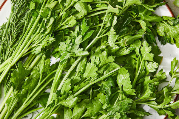 Top view of green parsley and dill on plate