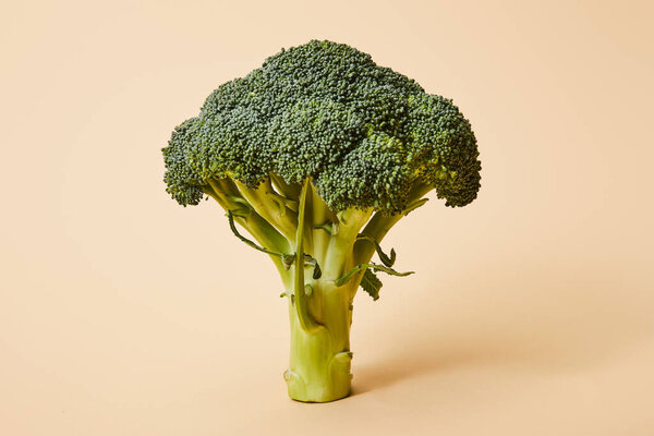 fresh green broccoli on beige with copy space