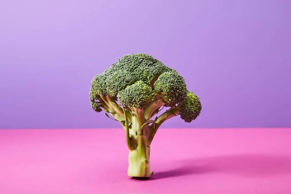 Raw Broccoli Purple Pink Copy Space — Stock Photo, Image