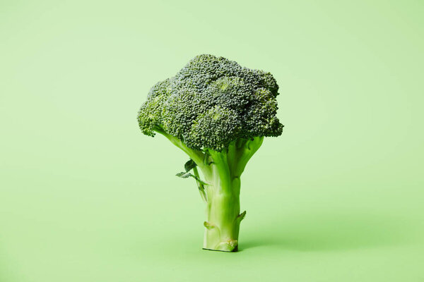 ripe green broccoli on green with copy space  