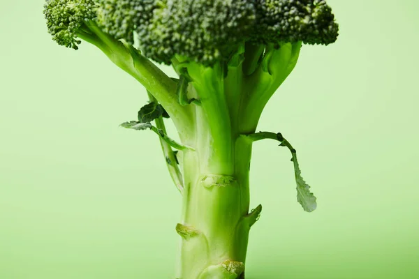 Primo Piano Broccoli Verdi Freschi Verde — Foto Stock