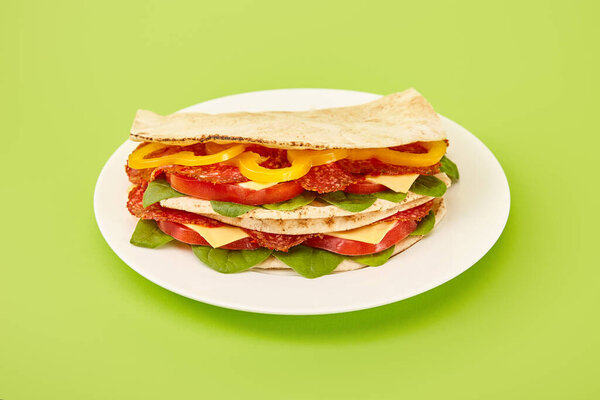 fresh sandwich with salami, pita, vegetables and cheese on plate on green background