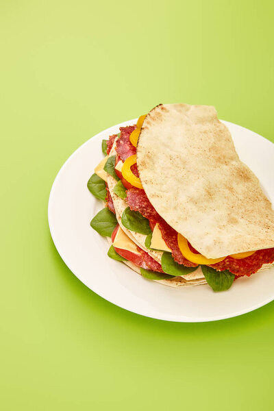 fresh sandwich with salami, pita, vegetables and cheese on plate on green background
