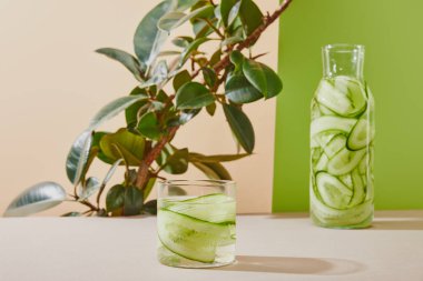 Selective focus of glass and bottle filled with clean water and sliced cucumbers and plant on beige and green background  clipart