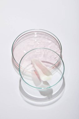 Pembe sıvı ve gri arka planda gül yapraklı yüksek açılı petri plakası
