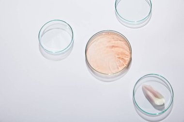 Gri arka planda sıvı ve gül yapraklı laboratuvar vitrininin üst görüntüsü