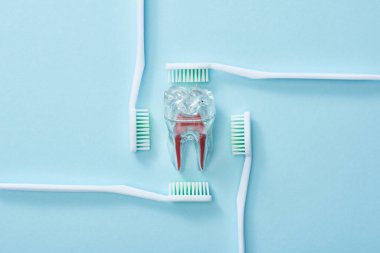 Mavi arka planda diş fırçaları ve yapay plastik dişlerle yatıyordu.