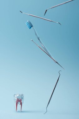 Metal diş aletleri, diş fırçası ve mavi arka planda yapay diş modeli.