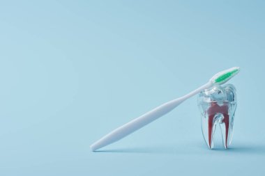 Plastik beyaz diş fırçası ve mavi arka planda yapay şeffaf plastik diş.