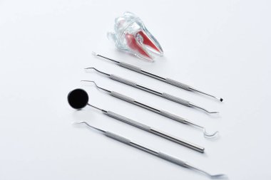 Profesyonel diş aletlerinin yüksek açılı görüntüsü ve gri arka planda yapay plastik diş