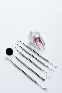 Gri arkaplanda dişçi aletleri ve yapay plastik diş yüksek açılı görünümü